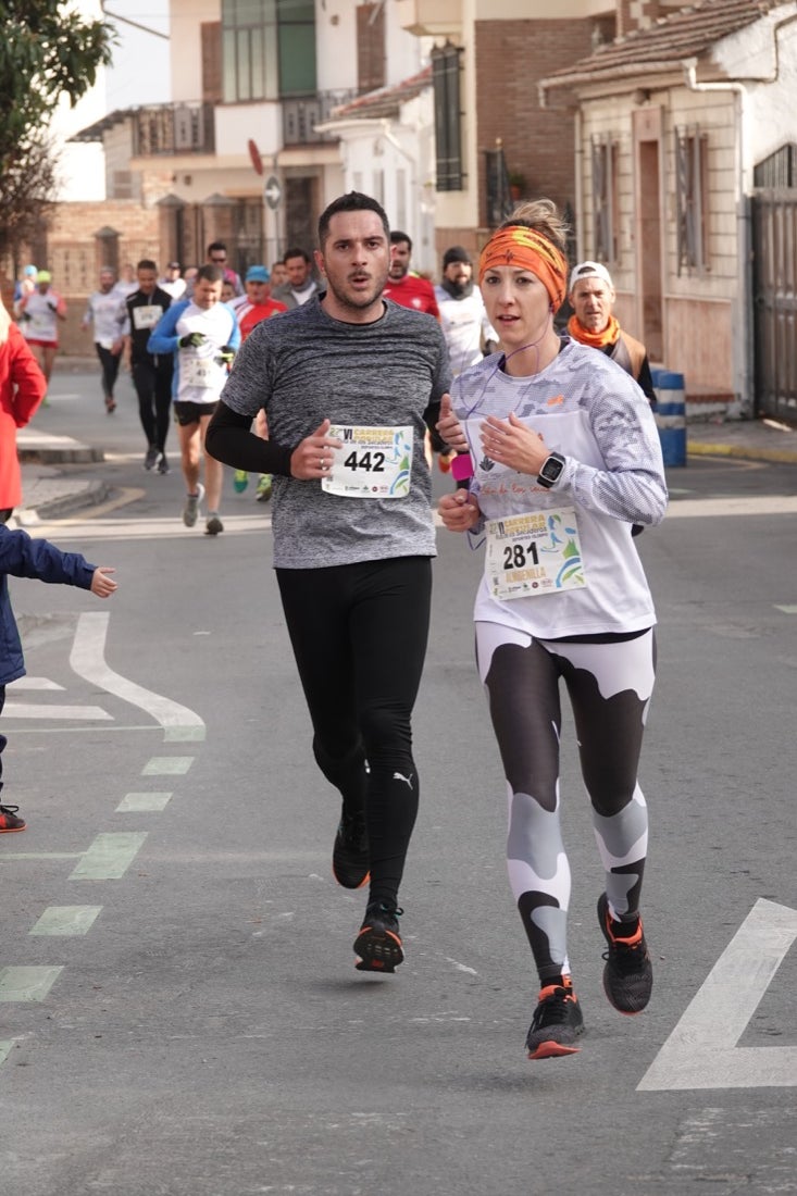 Un recorrido de 7 kilómetros en la categoría absoluta que transcurrió entre secaderos. Este año volvió a haber una categoría para senderistas de 5 kilómetros.