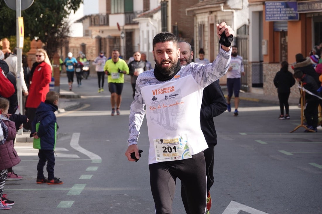 Un recorrido de 7 kilómetros en la categoría absoluta que transcurrió entre secaderos. Este año volvió a haber una categoría para senderistas de 5 kilómetros.