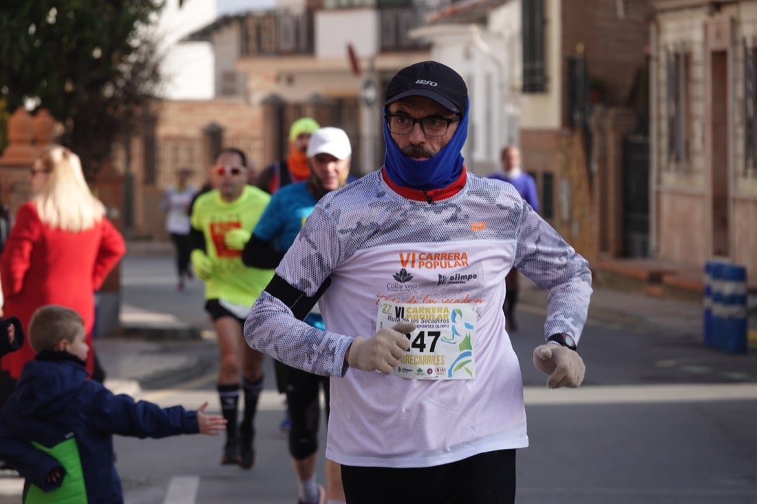 Un recorrido de 7 kilómetros en la categoría absoluta que transcurrió entre secaderos. Este año volvió a haber una categoría para senderistas de 5 kilómetros.