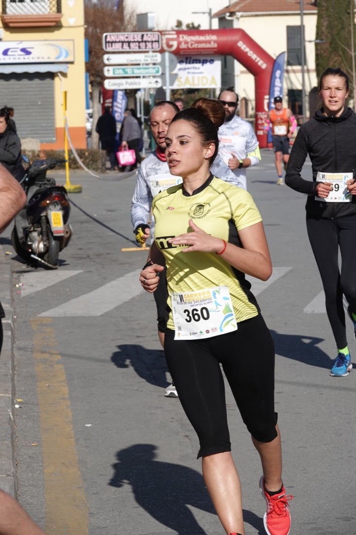 Un recorrido de 7 kilómetros en la categoría absoluta que transcurrió entre secaderos. Este año volvió a haber una categoría para senderistas de 5 kilómetros.