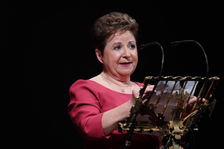 Fotos: El Ayuntamiento de Granada entrega sus honores y distinciones con la educación, la ciencia y la cultura como protagonistas