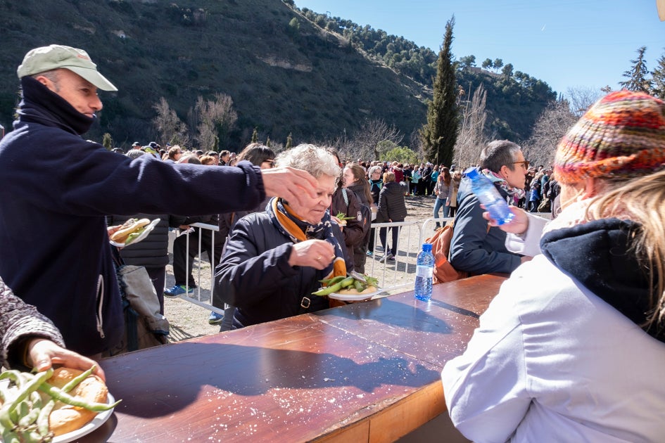 La celebración del patrón de Granada ha estado este año marcada por las alertas de nieve y frío de la Aemet