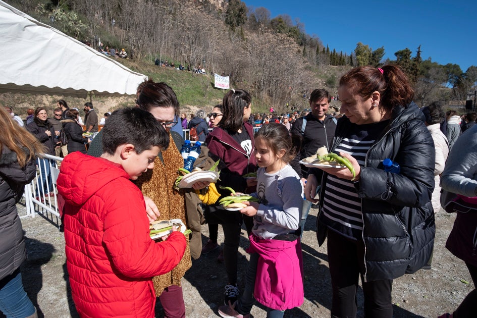 La celebración del patrón de Granada ha estado este año marcada por las alertas de nieve y frío de la Aemet