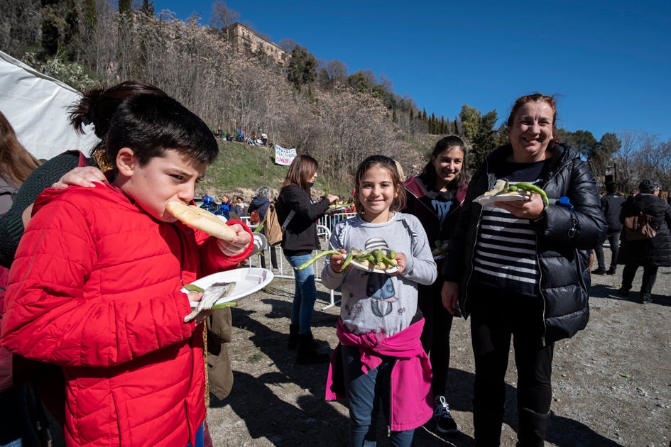 La celebración del patrón de Granada ha estado este año marcada por las alertas de nieve y frío de la Aemet