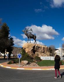 Imagen secundaria 2 - Una ballena en La Mancha