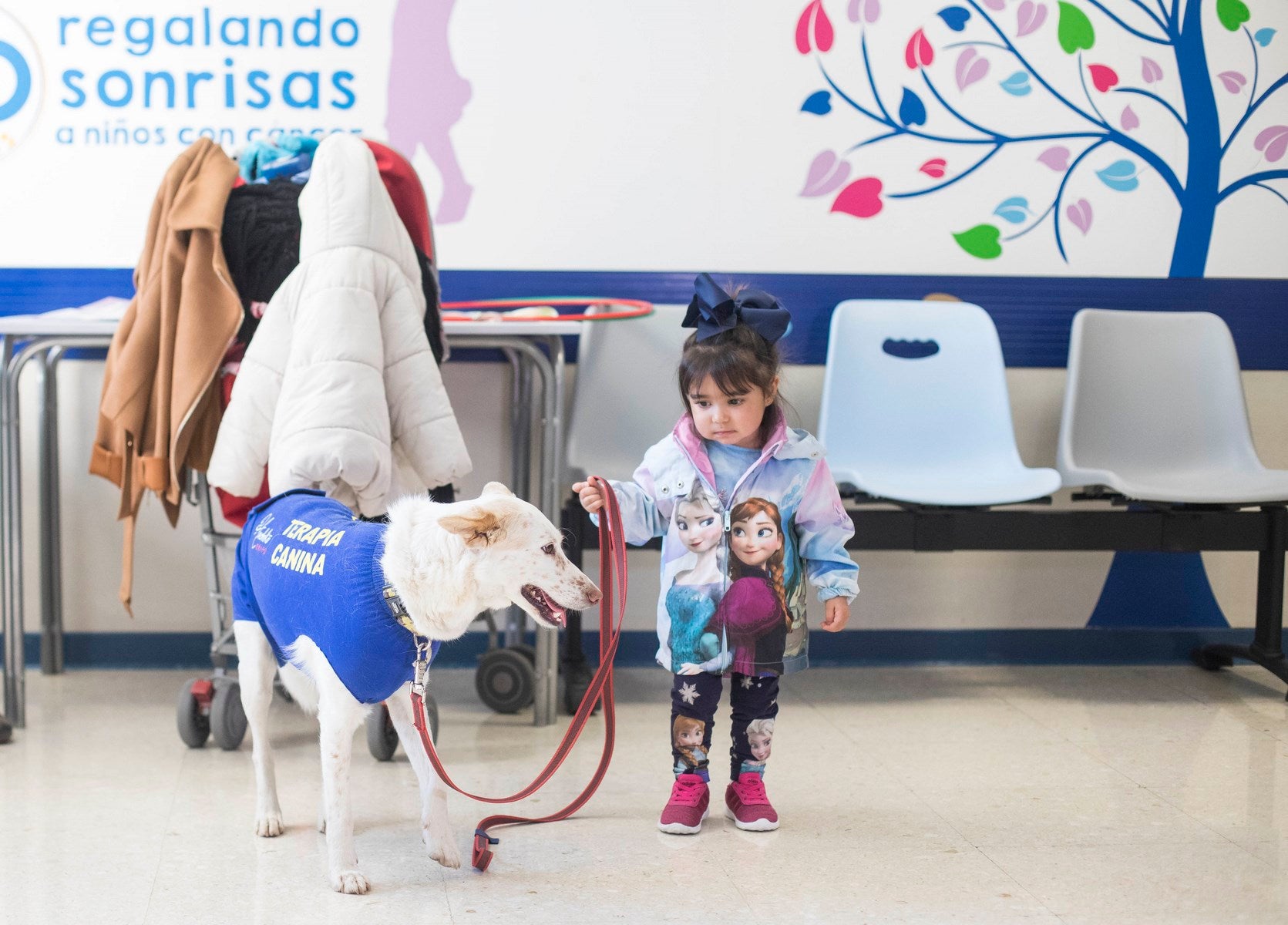 Parcitipan en sesiones de terapia individualizada de 45 minutos cada martes con niños de las unidades de Oncología y Cirugía Infantil del Materno-Infantil del Virgen de las Nieves