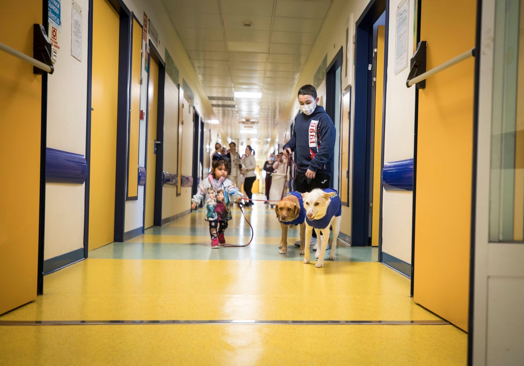 Parcitipan en sesiones de terapia individualizada de 45 minutos cada martes con niños de las unidades de Oncología y Cirugía Infantil del Materno-Infantil del Virgen de las Nieves