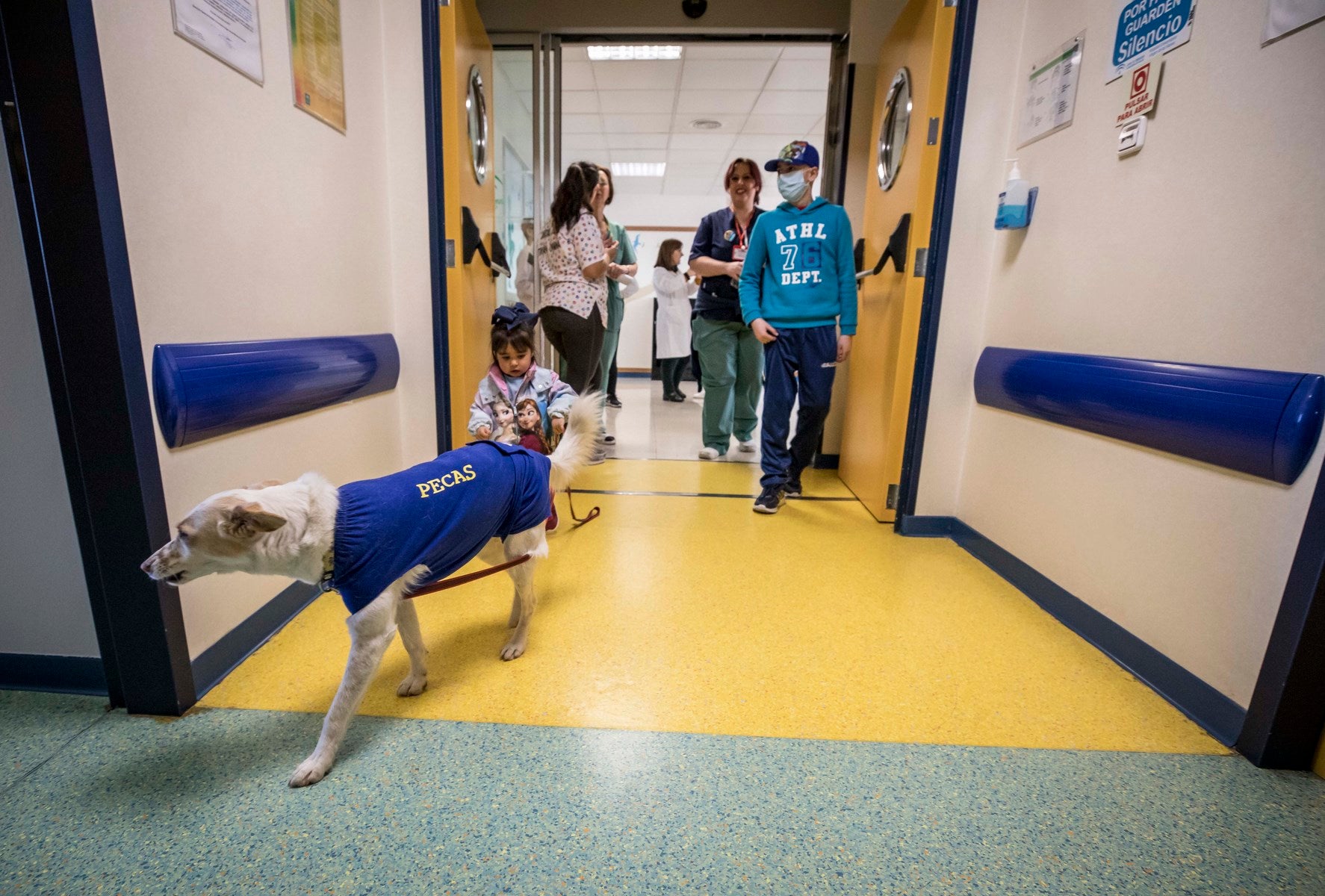 Parcitipan en sesiones de terapia individualizada de 45 minutos cada martes con niños de las unidades de Oncología y Cirugía Infantil del Materno-Infantil del Virgen de las Nieves