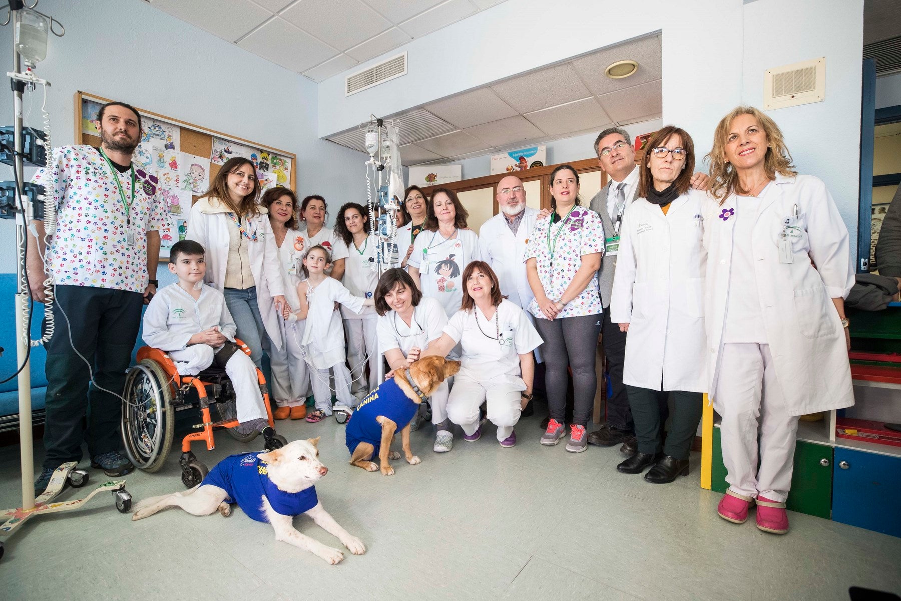 Parcitipan en sesiones de terapia individualizada de 45 minutos cada martes con niños de las unidades de Oncología y Cirugía Infantil del Materno-Infantil del Virgen de las Nieves