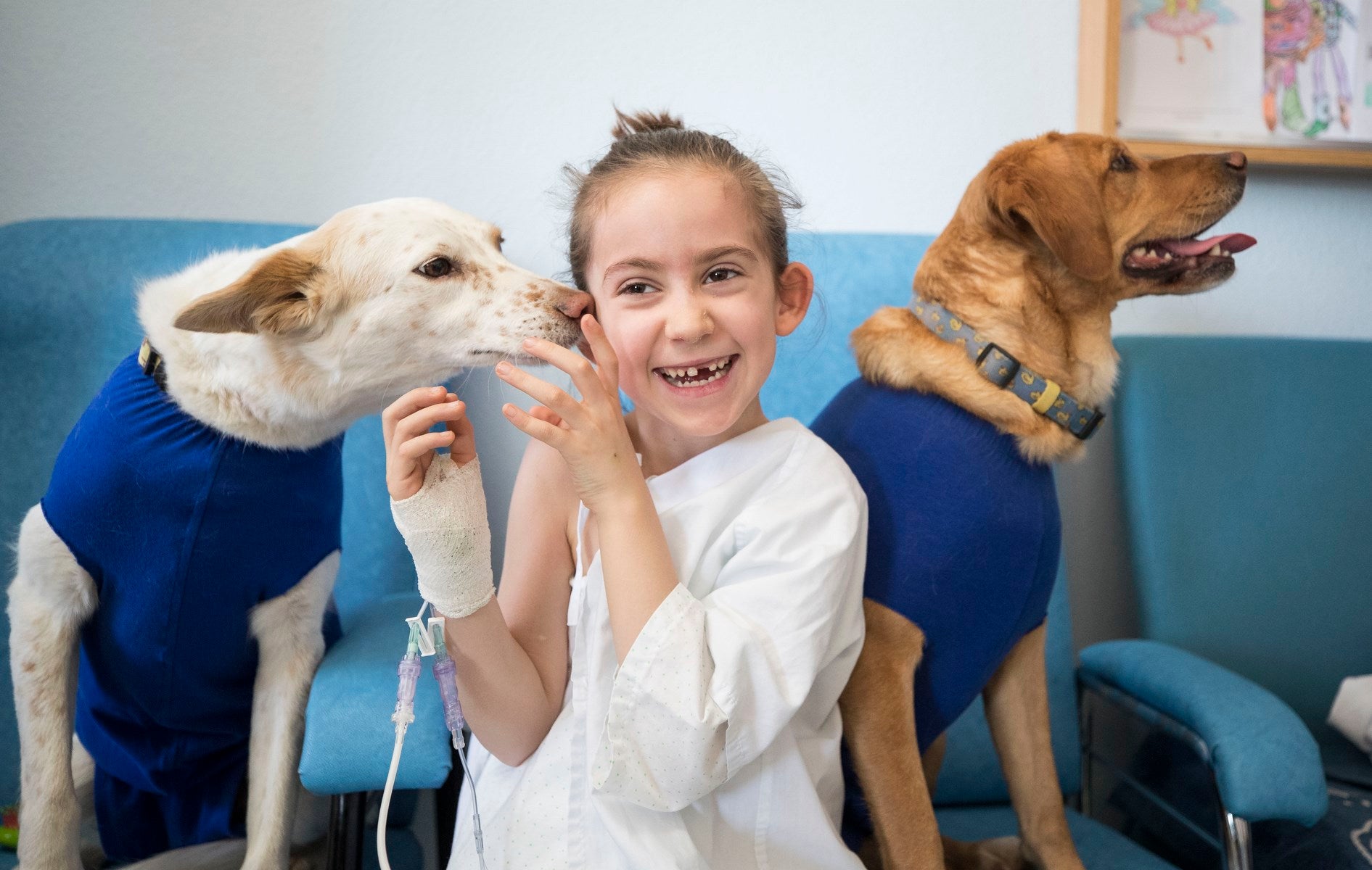 Parcitipan en sesiones de terapia individualizada de 45 minutos cada martes con niños de las unidades de Oncología y Cirugía Infantil del Materno-Infantil del Virgen de las Nieves