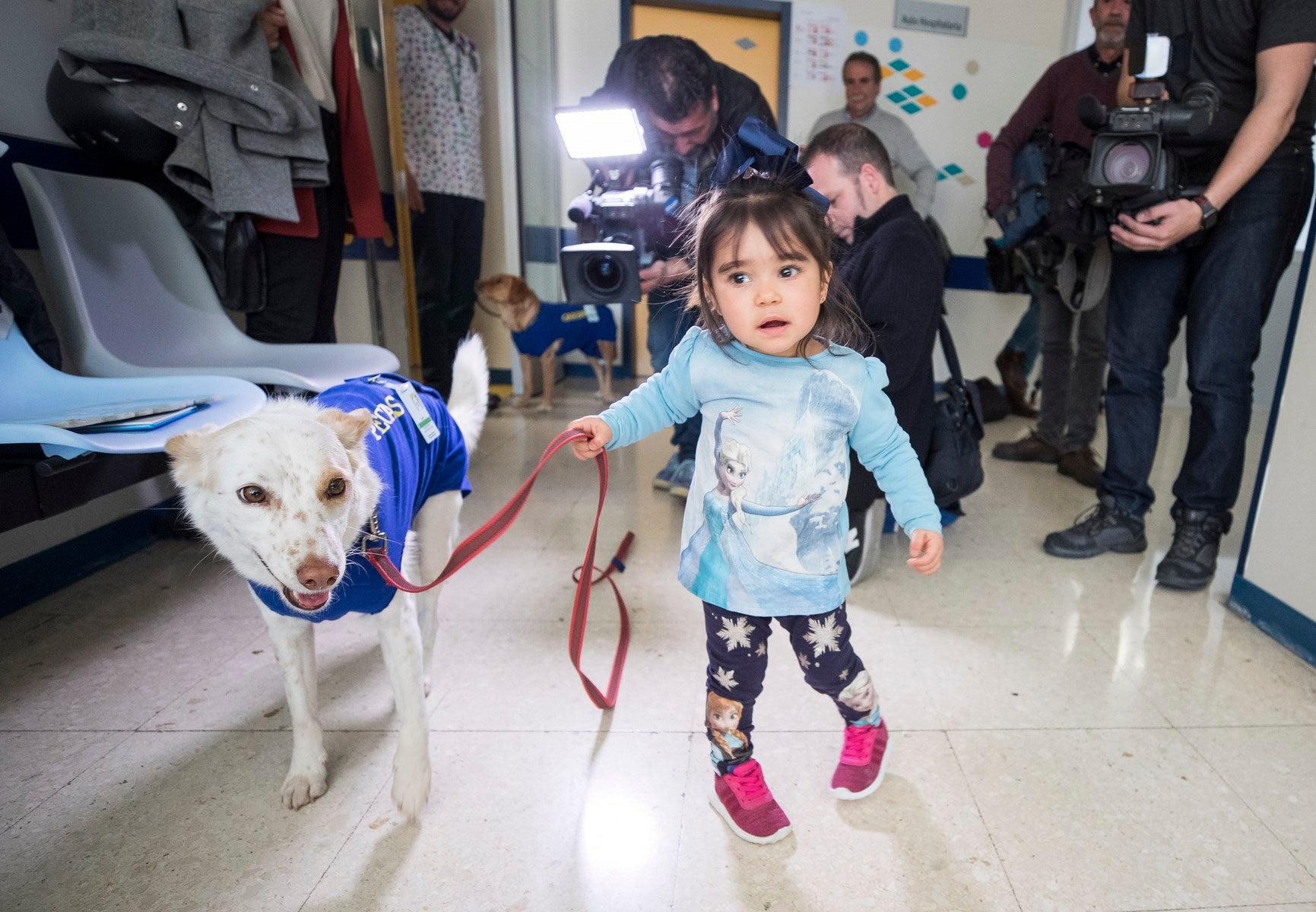 Parcitipan en sesiones de terapia individualizada de 45 minutos cada martes con niños de las unidades de Oncología y Cirugía Infantil del Materno-Infantil del Virgen de las Nieves