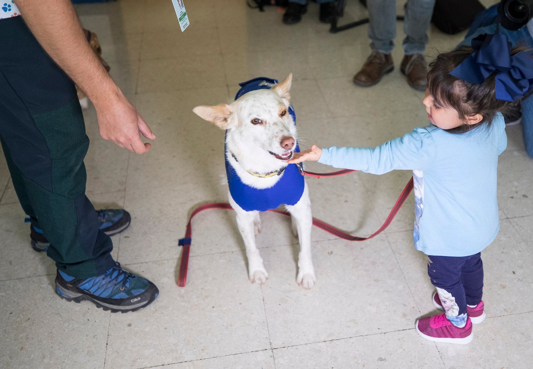 Parcitipan en sesiones de terapia individualizada de 45 minutos cada martes con niños de las unidades de Oncología y Cirugía Infantil del Materno-Infantil del Virgen de las Nieves