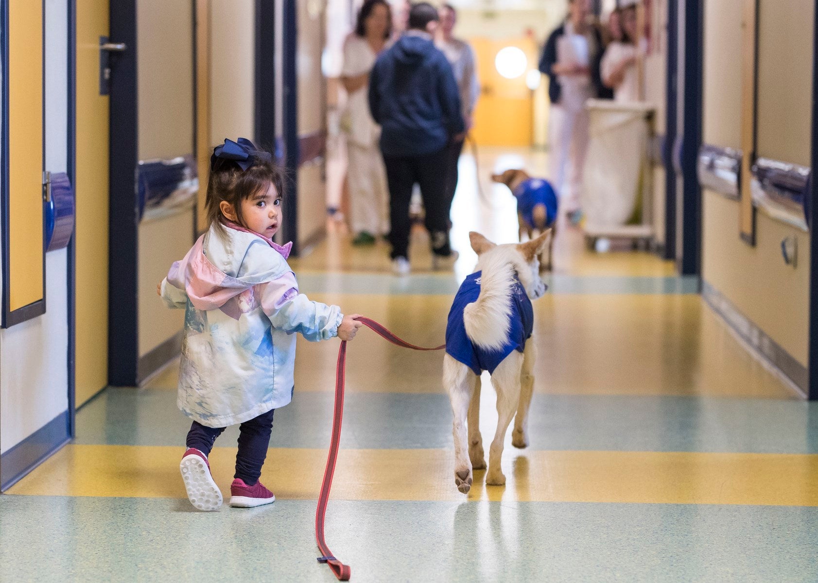 Parcitipan en sesiones de terapia individualizada de 45 minutos cada martes con niños de las unidades de Oncología y Cirugía Infantil del Materno-Infantil del Virgen de las Nieves