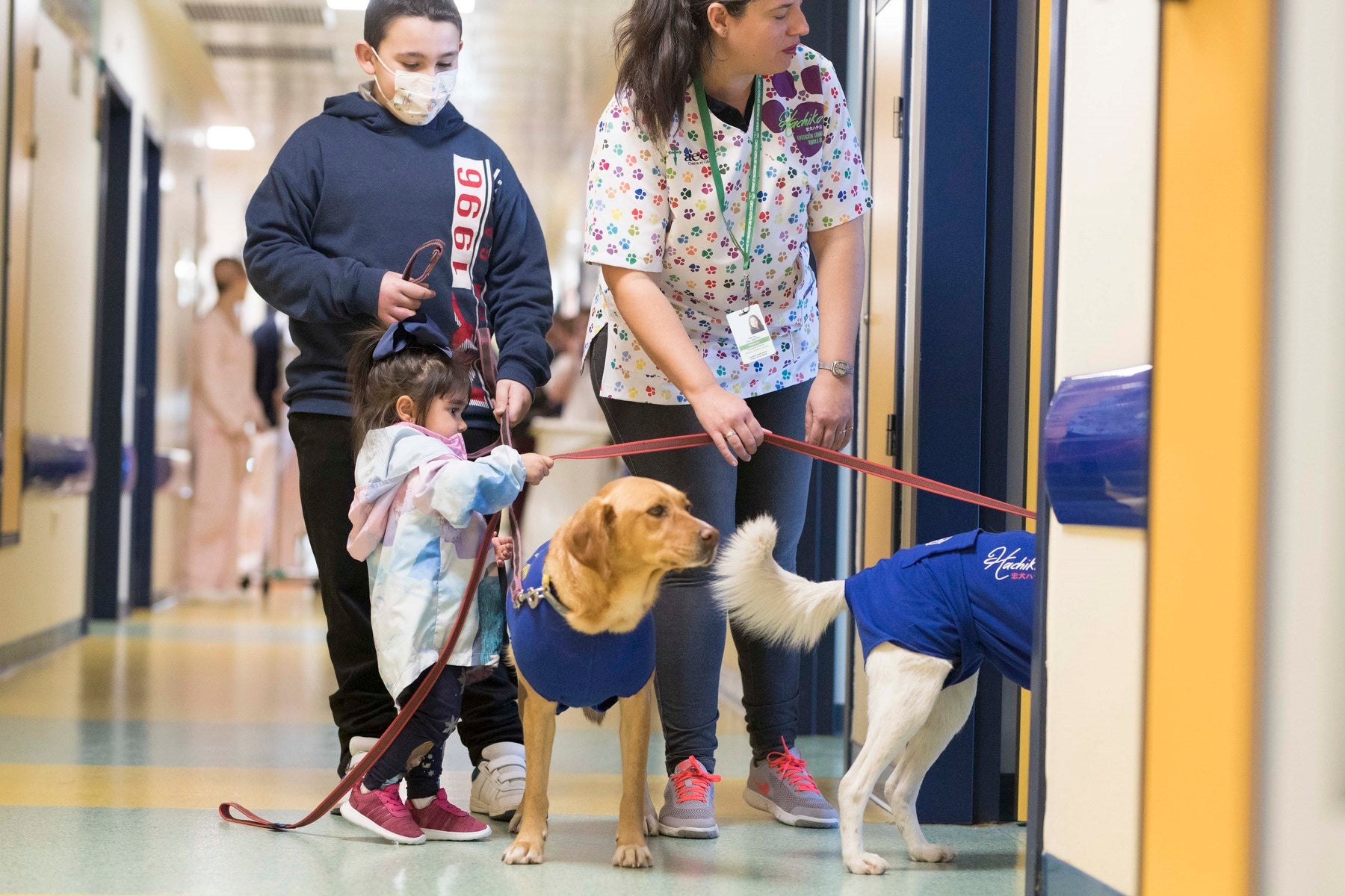 Parcitipan en sesiones de terapia individualizada de 45 minutos cada martes con niños de las unidades de Oncología y Cirugía Infantil del Materno-Infantil del Virgen de las Nieves