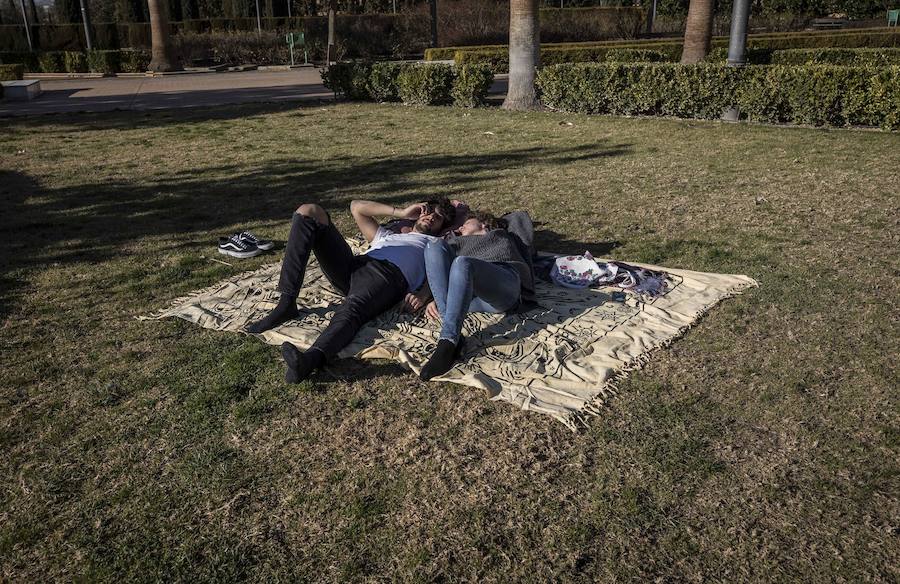 El mercurio anda revuelto en los primeros días de febrero y el buen tiempo está dejando estampas propias de la primavera en toda la provincia, sobre todo a mediodía. La temperaturas varían tanto en apenas unas horas que la ropa de abrigo de la mañana sobra a la hora de comer. Algunos no han desaprovechado para tumbarse al sol en algunos puntos de la capital granadina... ¡en manga corta!