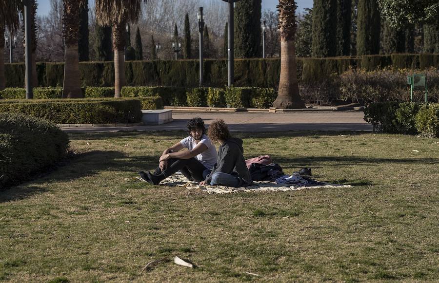 El mercurio anda revuelto en los primeros días de febrero y el buen tiempo está dejando estampas propias de la primavera en toda la provincia, sobre todo a mediodía. La temperaturas varían tanto en apenas unas horas que la ropa de abrigo de la mañana sobra a la hora de comer. Algunos no han desaprovechado para tumbarse al sol en algunos puntos de la capital granadina... ¡en manga corta!
