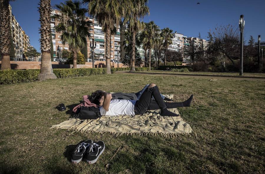 El mercurio anda revuelto en los primeros días de febrero y el buen tiempo está dejando estampas propias de la primavera en toda la provincia, sobre todo a mediodía. La temperaturas varían tanto en apenas unas horas que la ropa de abrigo de la mañana sobra a la hora de comer. Algunos no han desaprovechado para tumbarse al sol en algunos puntos de la capital granadina... ¡en manga corta!