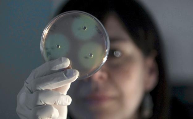 Una investigadora trabajando en el A&B Laboratorios de Biotecnología, en Vitoria.