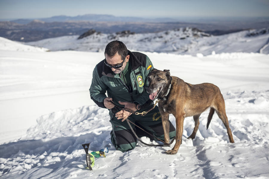 Fotos: Formación de guardias civiles en Sierra Nevada