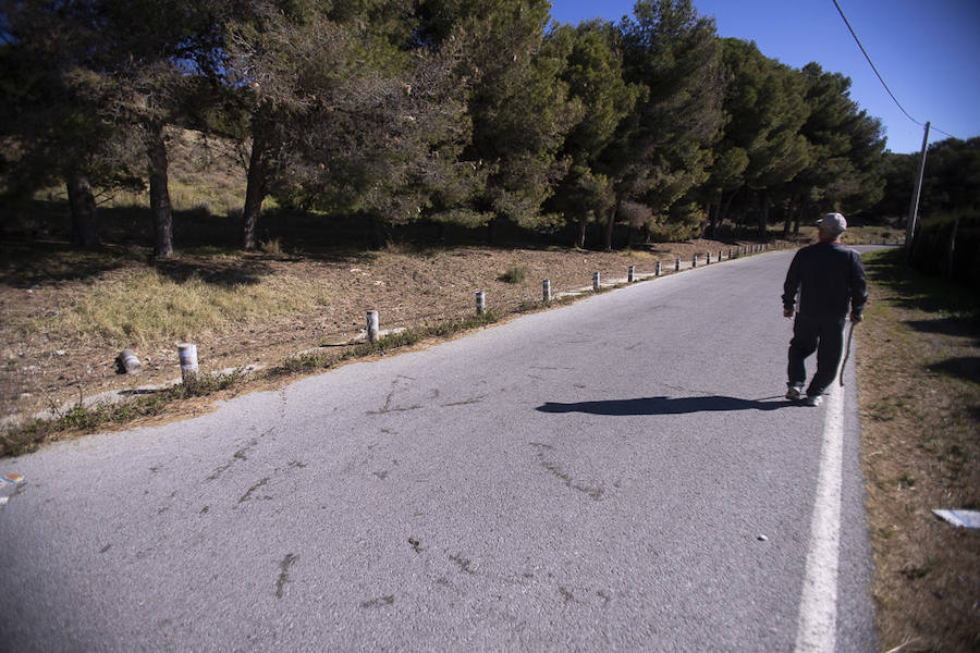 Ayuntamientos costeros como Salobreña y Motril actúan para tratar de contener el avance de esta oruga tóxica desde los pinares de los montes públicos hasta las ciudades