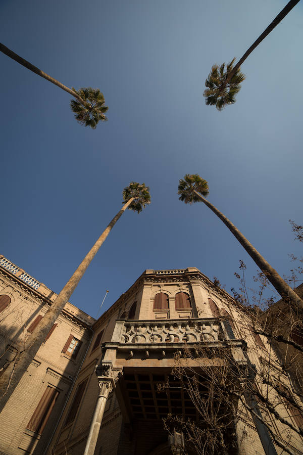 Las copa de las cuatro palmeras rebasan ampliamente las dos alturas del palacete.