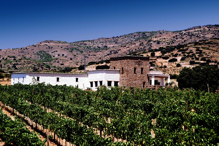 Una nueva forma de sorprender a tus sentidos y disfrutar del vino como nunca antes lo habías hecho