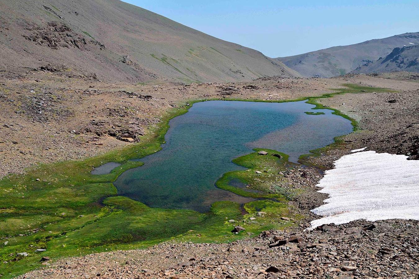 Laguna de las Juntillas