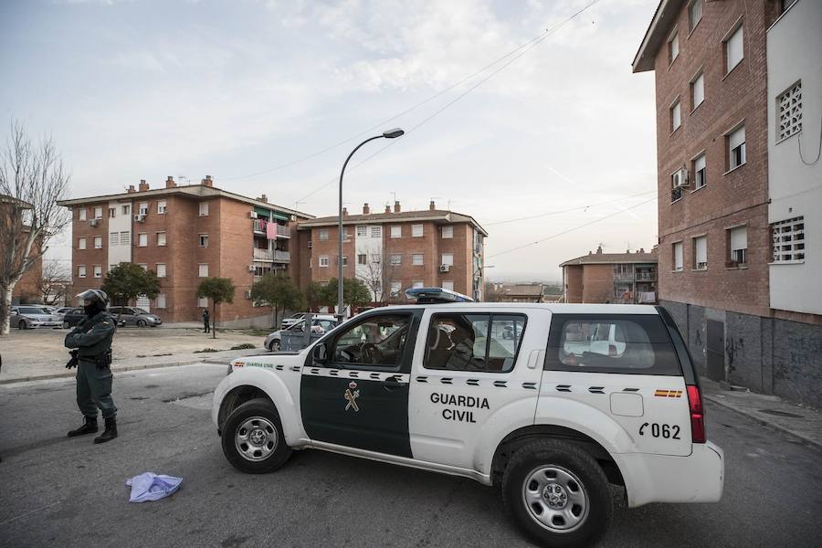 En los últimos siete días se ha intensificado la labor de desmantelamiento de plantaciones de marihuana en la localidad de PInos Puente. Este lunes la Guardia Civil intervino invernaderos 'indoor' en cinco pisos.