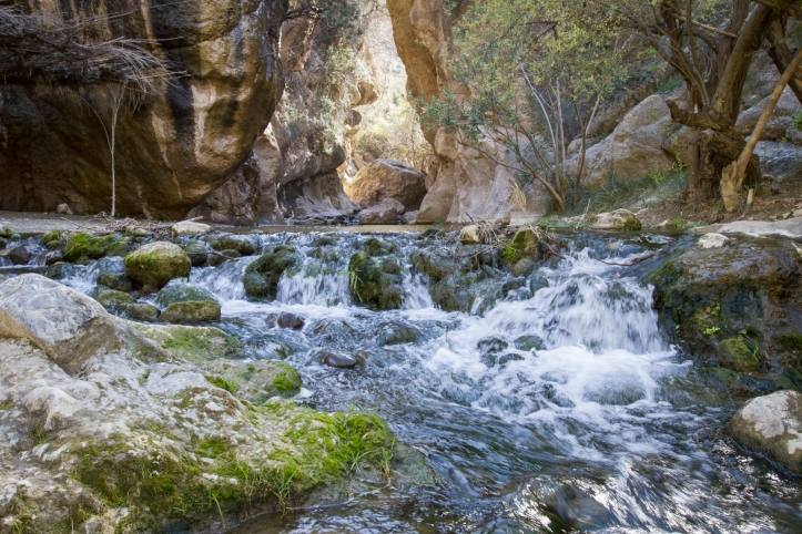 Pueblos blancos, castillos y fortalezas, parajes naturales y mucho más, a menos de dos horas de Granada capital