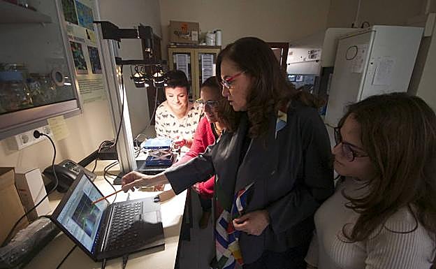 El misterio del estrés de las plantas se resuelve en Granada