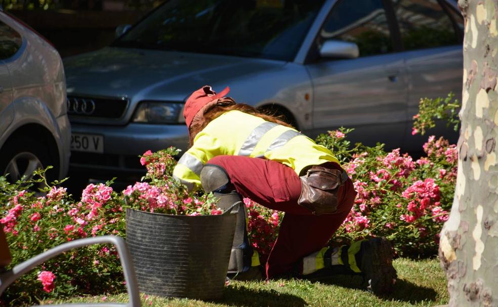 Una mujer trabajando el arreglo de un jardín.