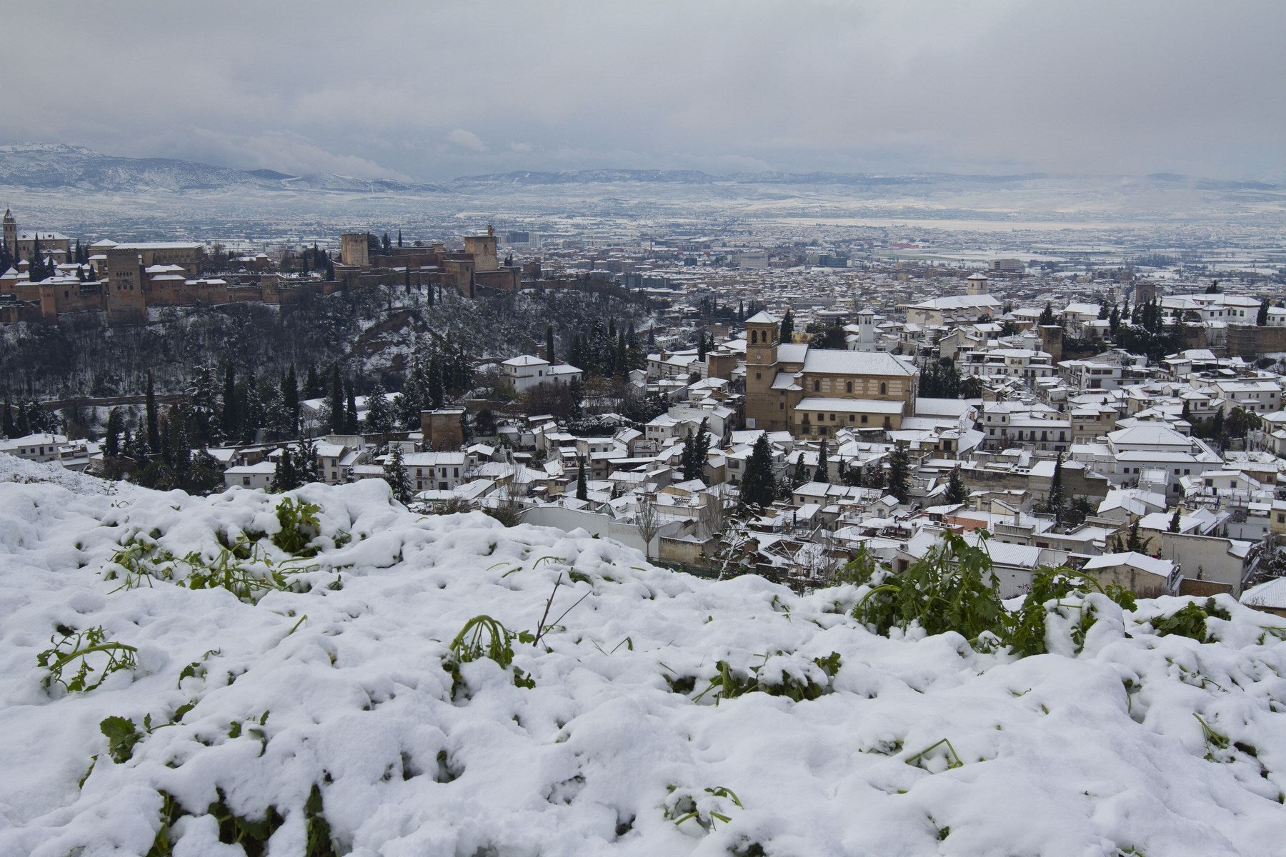 Las nevadas sobre Granada han dejado siempre unas estampas de espectacualr belleza. Recogemos ahora una serie de fotografías de incuestionable valor.