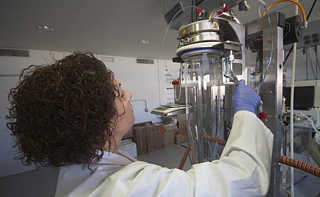 Imagen principal - Bolsas y mallas creadas con los desechos de los productos tropicales