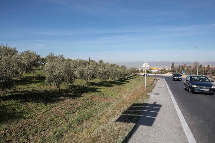 Algunos años el Día de Andalucía se ha celebrado bajo un manto blanco. La nieves este febrero de 2019 se divisa de lejos en Sierra Nevada con un sol de justicia y temepraturas de lo más cálidas para esta época de la año.