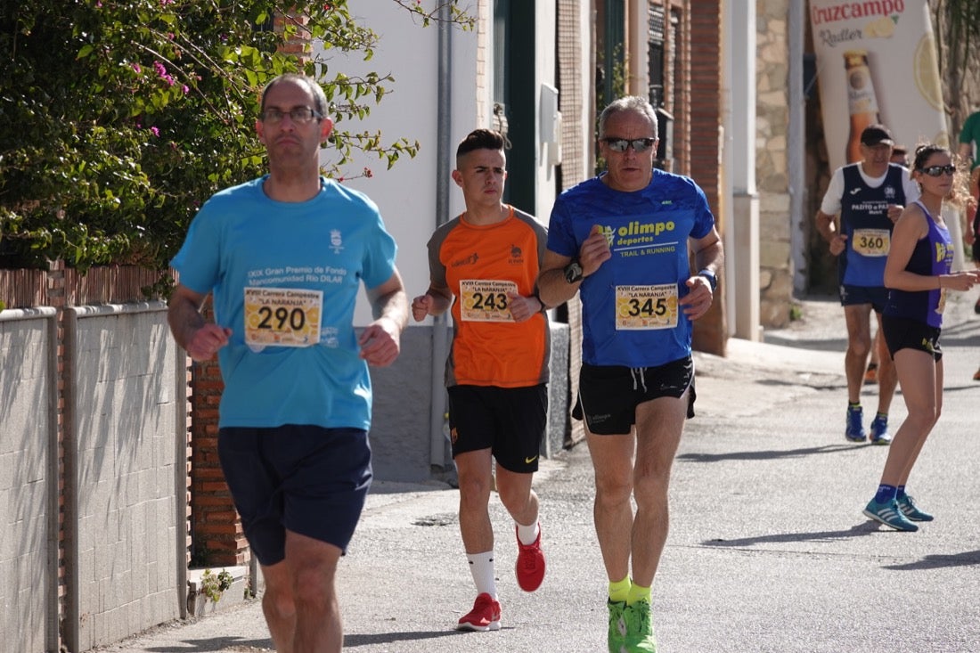 El Valle de Lecrín acoge una modesta carrera con 350 participantes entre corredores absolutos, senderistas y chiquillos