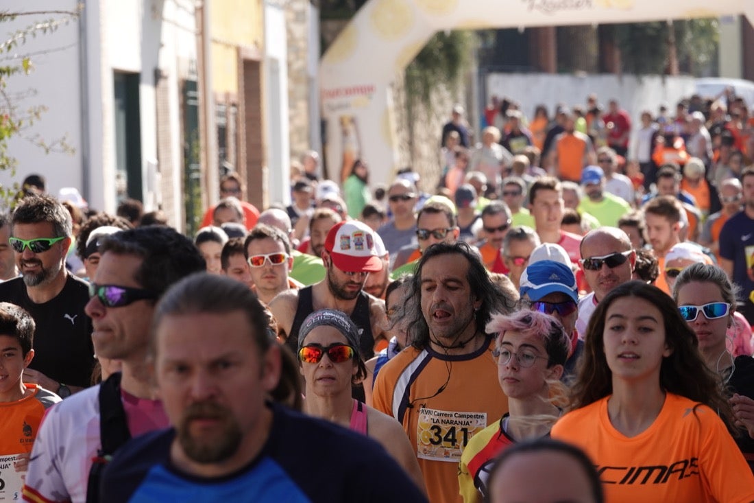 El Valle de Lecrín acoge una modesta carrera con 350 participantes entre corredores absolutos, senderistas y chiquillos