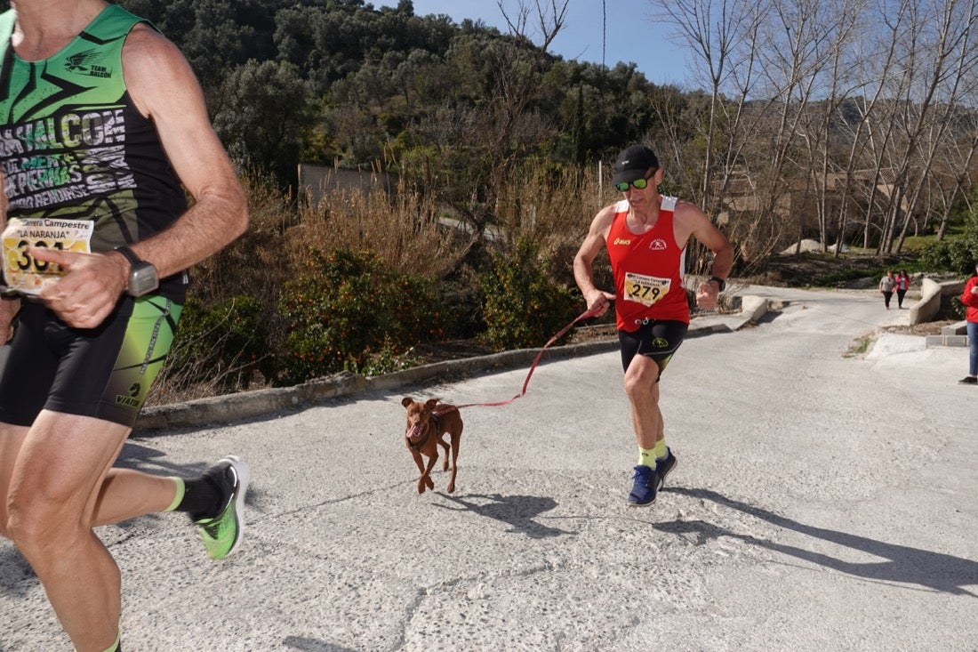 El Valle de Lecrín acoge una modesta carrera con 350 participantes entre corredores absolutos, senderistas y chiquillos