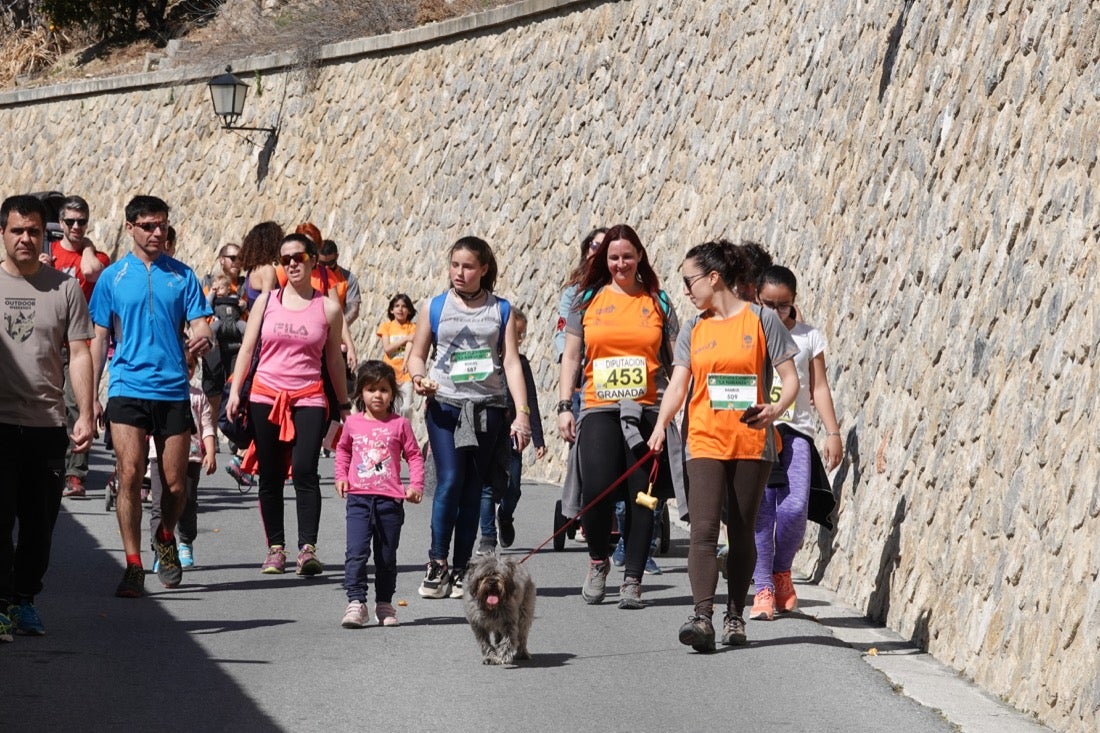 El Valle de Lecrín acoge una modesta carrera con 350 participantes entre corredores absolutos, senderistas y chiquillos