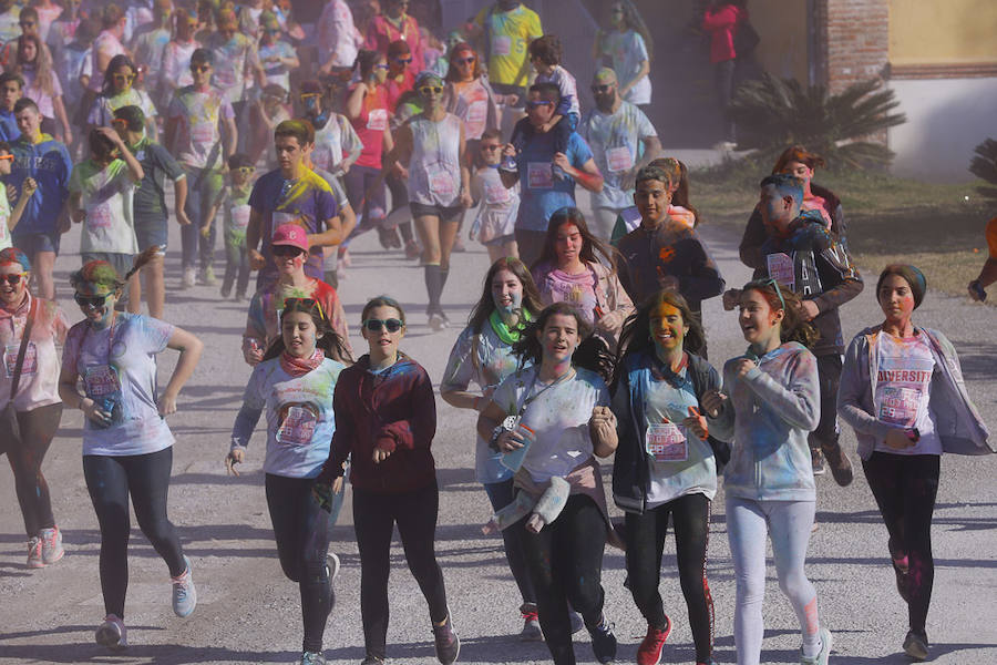 Han sido muchas las familias con niños que se han animado así a empezar el Día de Andalucía corriendo entre polvos de colores. En total, más de 4.000 personas