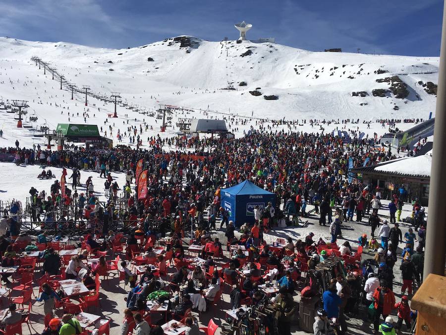 El buen tiempo y el puente de Andalucía han provocado que la estación de esquí granadina presente una aspecto espectacular, con miles de esquiadores y visitantes disfrutando de Sierra Nevada.