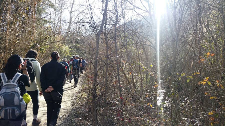 Un grupo de jóvenes de Beas de Granada encabeza una marcha para que no se olvide la senda que ha unido históricamente este municipio con la capital
