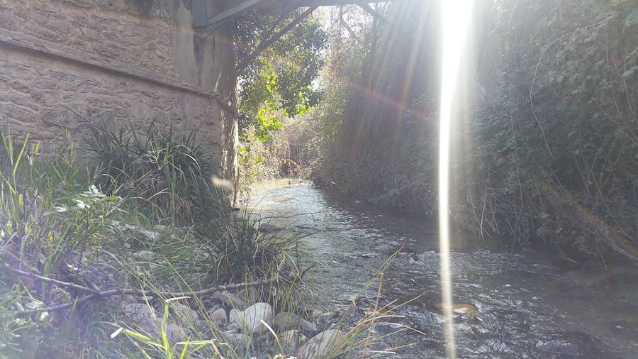 Un grupo de jóvenes de Beas de Granada encabeza una marcha para que no se olvide la senda que ha unido históricamente este municipio con la capital