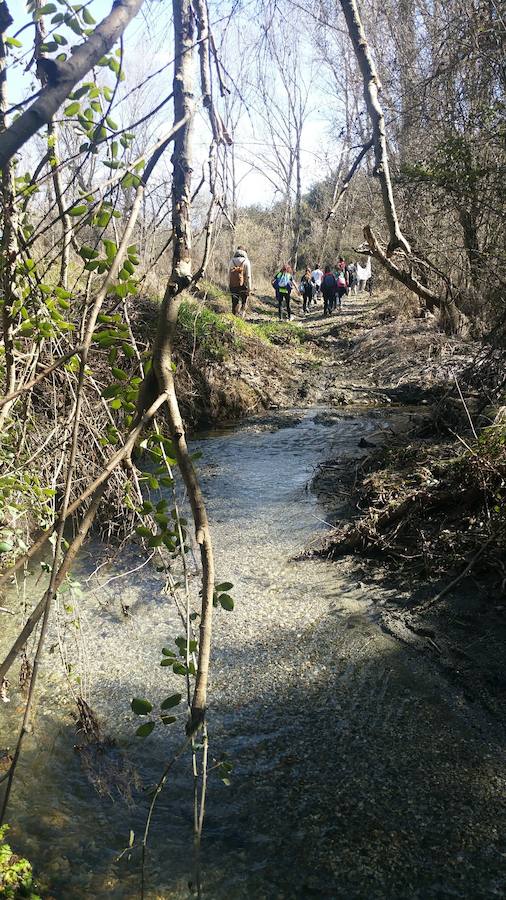 Un grupo de jóvenes de Beas de Granada encabeza una marcha para que no se olvide la senda que ha unido históricamente este municipio con la capital