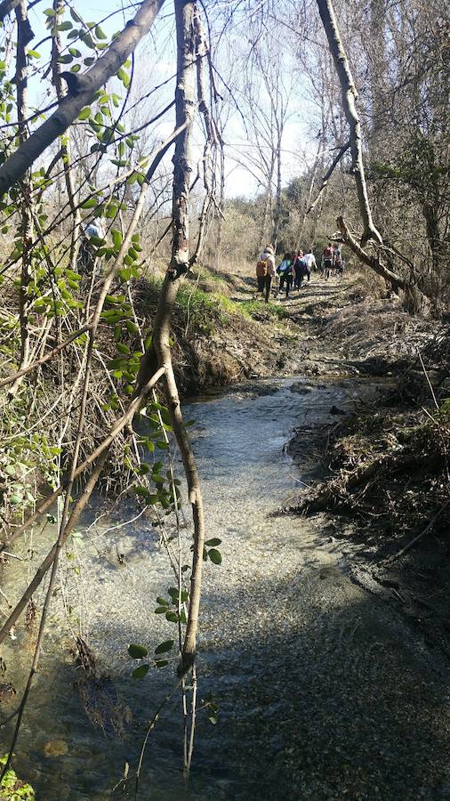 Un grupo de jóvenes de Beas de Granada encabeza una marcha para que no se olvide la senda que ha unido históricamente este municipio con la capital