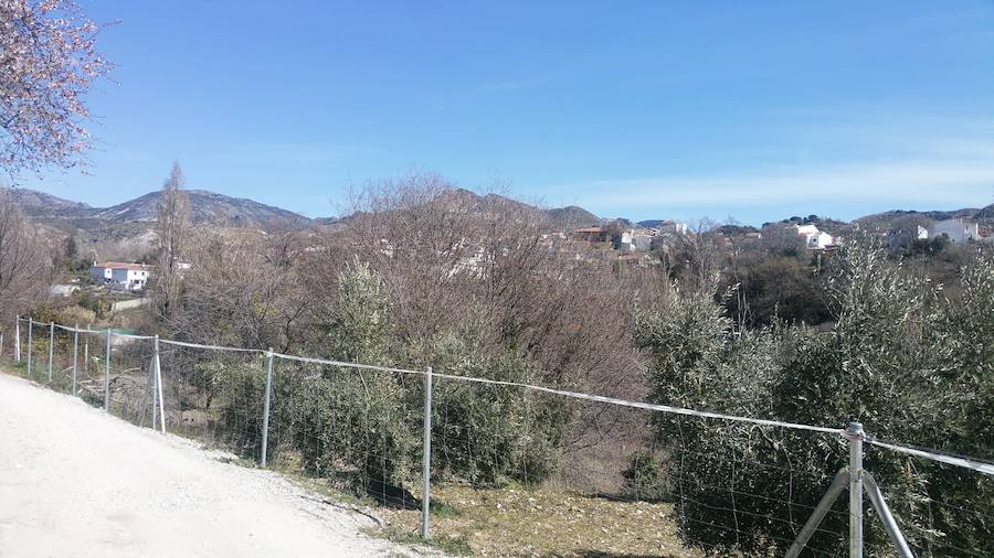 Un grupo de jóvenes de Beas de Granada encabeza una marcha para que no se olvide la senda que ha unido históricamente este municipio con la capital