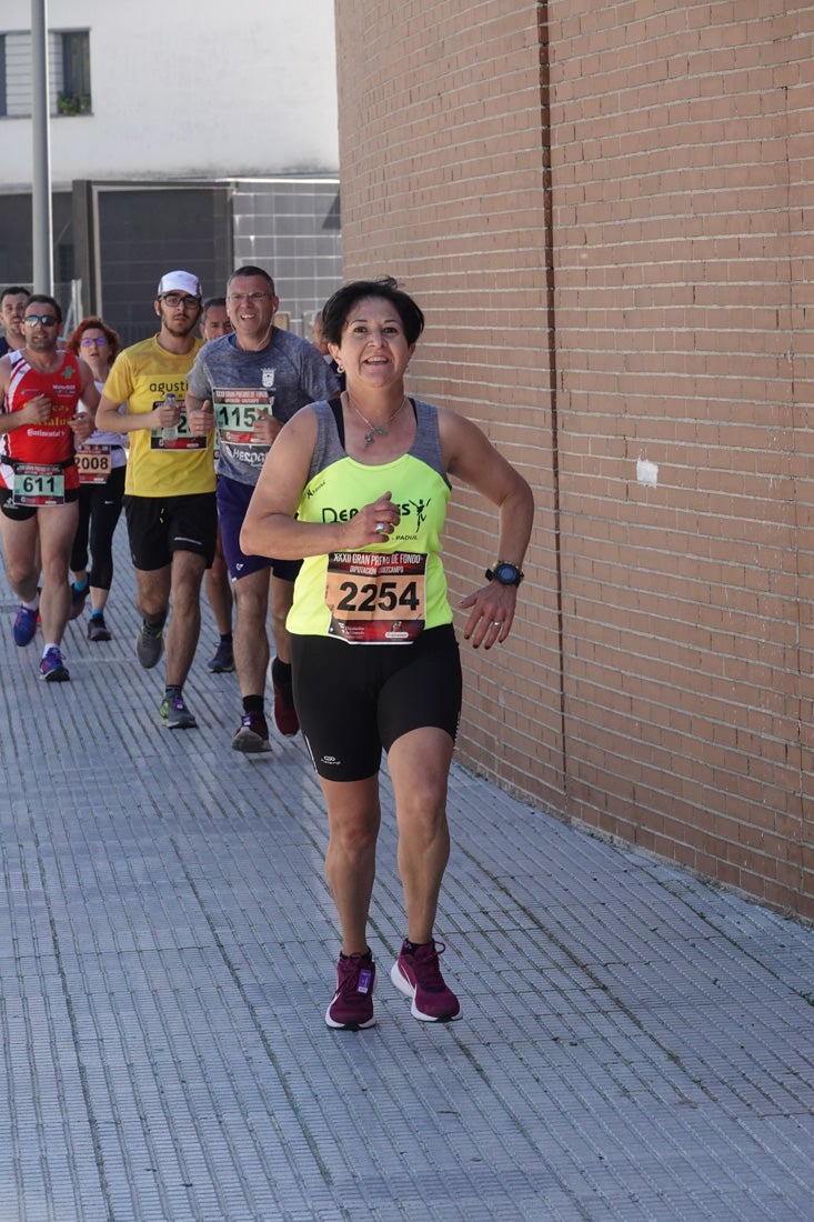 El reguero de atletas es amplio. Las piernas pesan en algunos momentos pero el objetivo de llegar a meta se mantiene. Si has participado en la carrera de fondo de Loja, prueba suerte a ver si te hemos retratado a lo largo del recorrido.