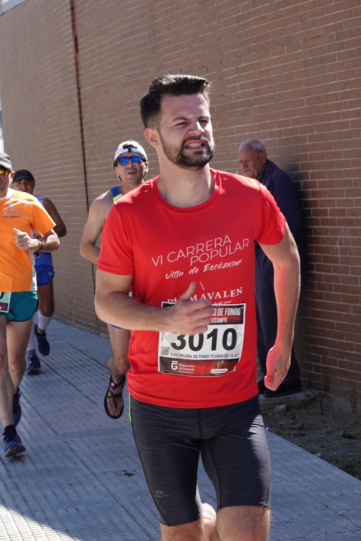 El reguero de atletas es amplio. Las piernas pesan en algunos momentos pero el objetivo de llegar a meta se mantiene. Si has participado en la carrera de fondo de Loja, prueba suerte a ver si te hemos retratado a lo largo del recorrido.