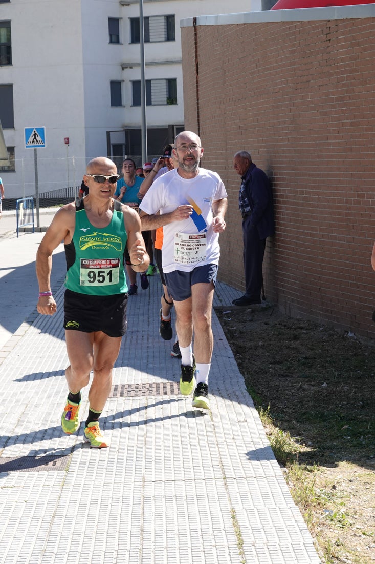 El reguero de atletas es amplio. Las piernas pesan en algunos momentos pero el objetivo de llegar a meta se mantiene. Si has participado en la carrera de fondo de Loja, prueba suerte a ver si te hemos retratado a lo largo del recorrido.