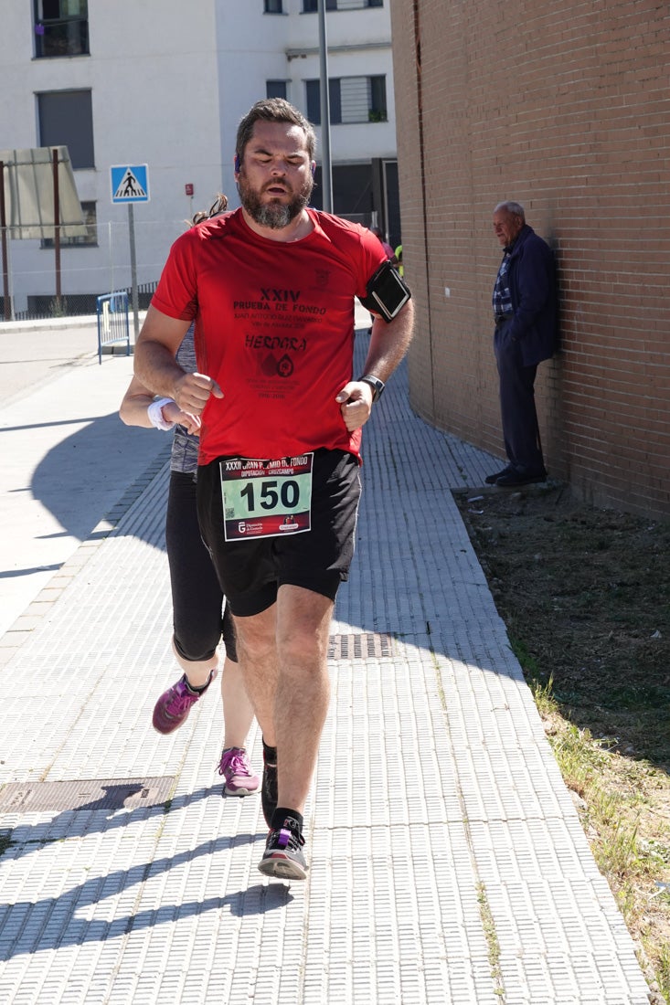 El reguero de atletas es amplio. Las piernas pesan en algunos momentos pero el objetivo de llegar a meta se mantiene. Si has participado en la carrera de fondo de Loja, prueba suerte a ver si te hemos retratado a lo largo del recorrido.