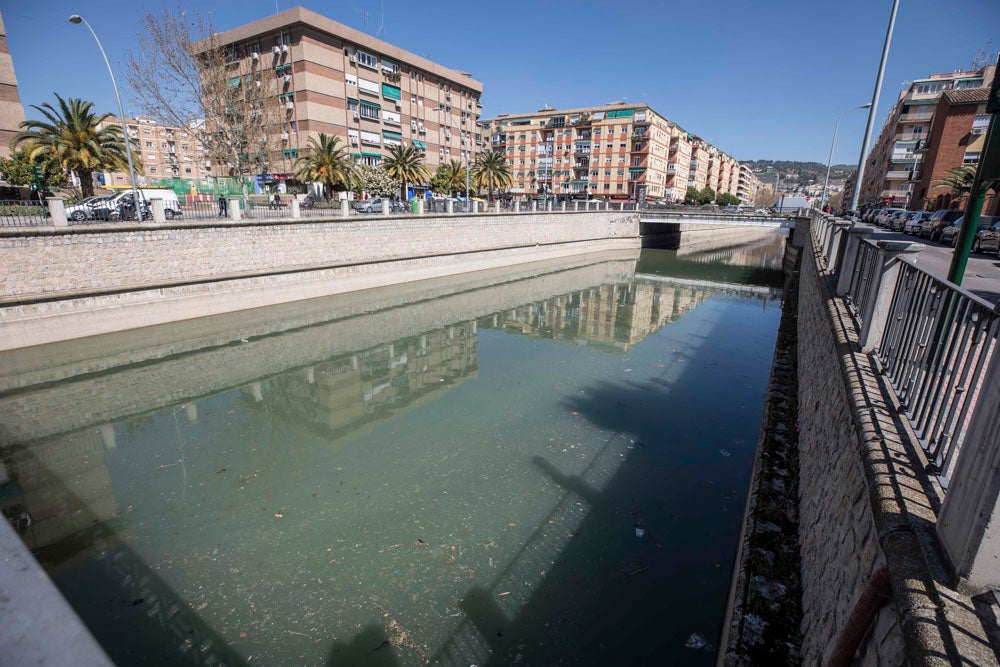 El Ayuntamiento de Granada ha invertido 145.000 euros en la limpieza del río, del que se han sacado veinte toneladas de basura, entre las que incluye bicicletas y colchones.